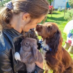 Sarah May Animal Assisted Therapy New Milton, Hordle, Lymington, Highcliffe, Christchurch